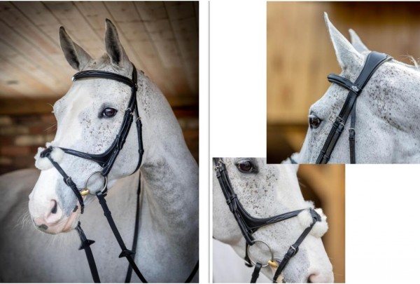 LeMieux Hobby Horse Grackle Bridle